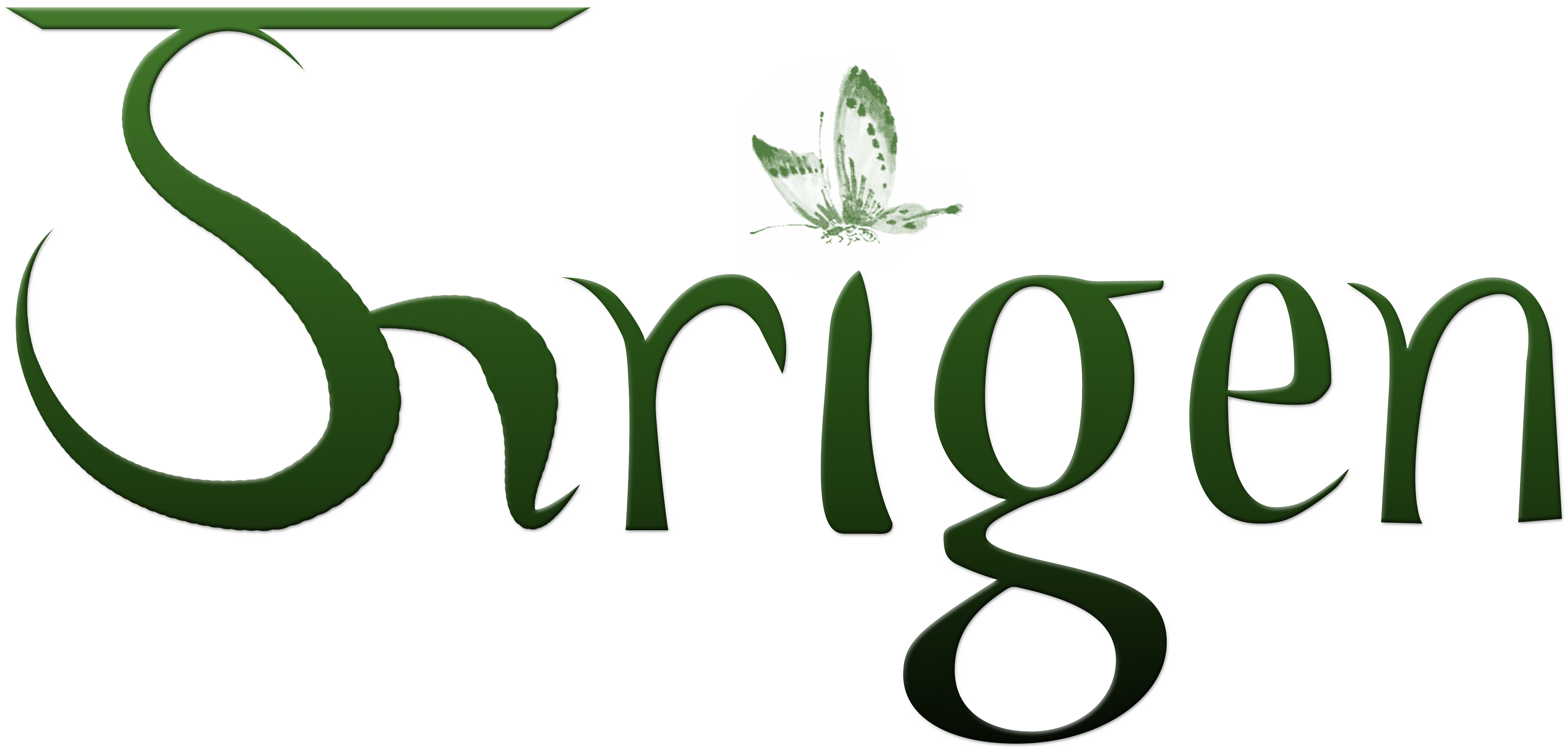 Shrigen Global Enterprises Logo
